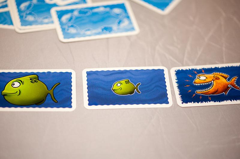Drei aufgedeckte Karten des Spiels zeigen einen großen grünen und einen kleinen grünen Fisch hintereinander. Dahinter ist ein großer orangener Fressfisch.