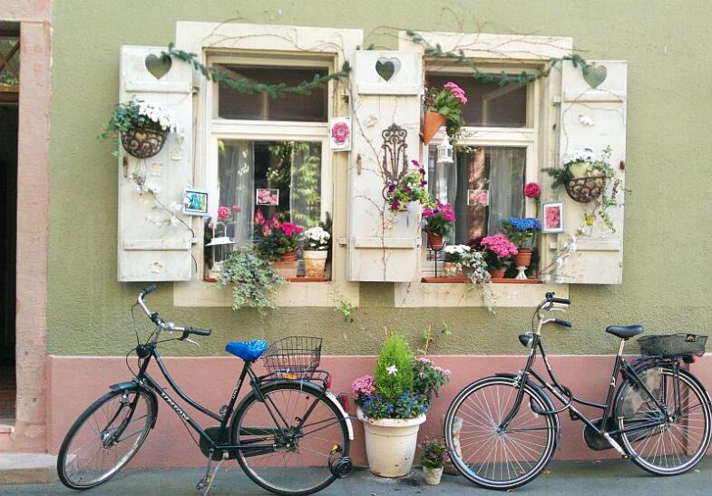 Bild einer Fensterbank, die reich mit Blumen verziert ist. Vor dem Fenster stehen zwei Fahrräder