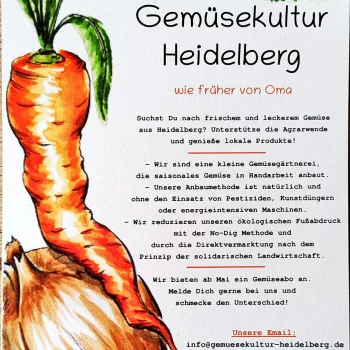 Infotext der solidarischen Landwirtschaft Gemüsekultur Heidelberg.