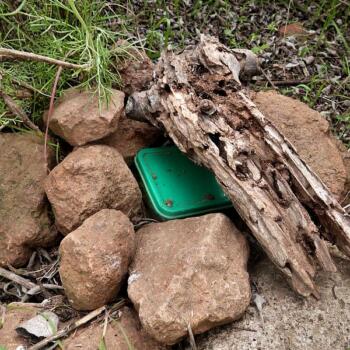 Geocache-Dose mit grünem Deckel, der unter einem Steinhaufen versteckt ist.