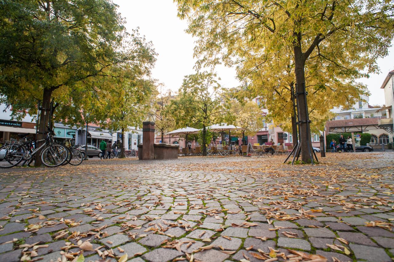 Blick im Weitwinkel auf den Marktplatz in Neuenheim. Die Bäume sind herbstlich bunt und einige Blätter liegen am Boden.