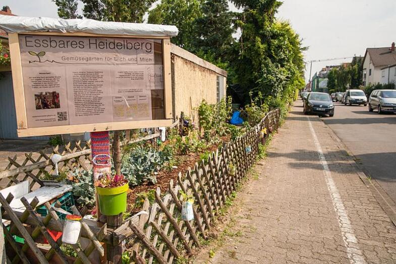 Gartengrundstück an einer Straßenkreuzung mit Schild zur Erklärung