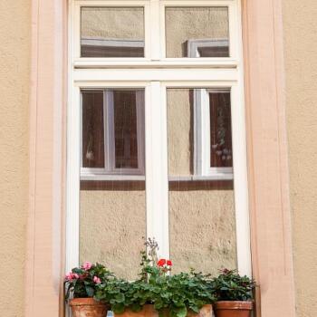Ein Fenster mit Blumen auf der Fensterbank