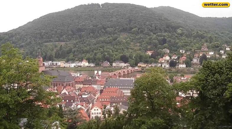 Bildschirmfoto, das Bild zeigt die Heidelberger Altstadt mit der Alten Brücke