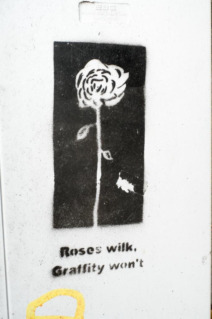 Streetart mit dem Abild einer Rose