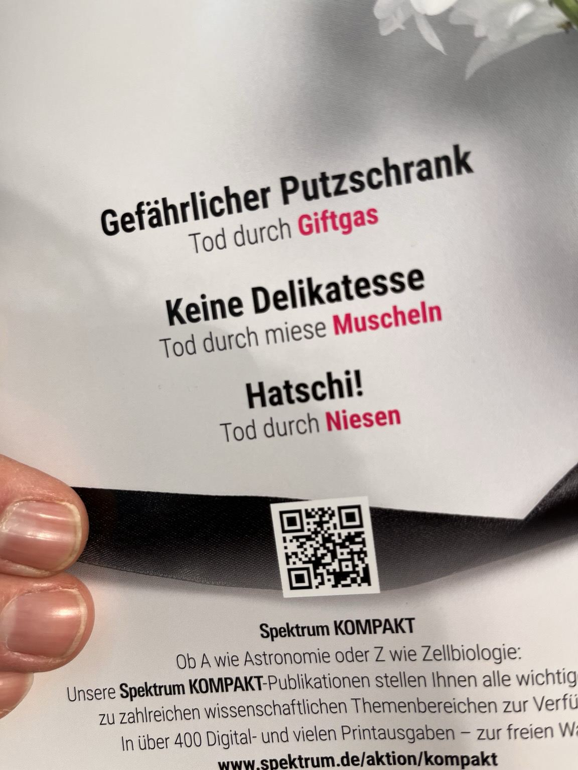 Rückseite des Magazins. Keine Delikatesse -Tod durch Muscheln, Hatschi! -Tod durch Niesen, gefährlicher Putzschrank Tod durch Giftgas. 