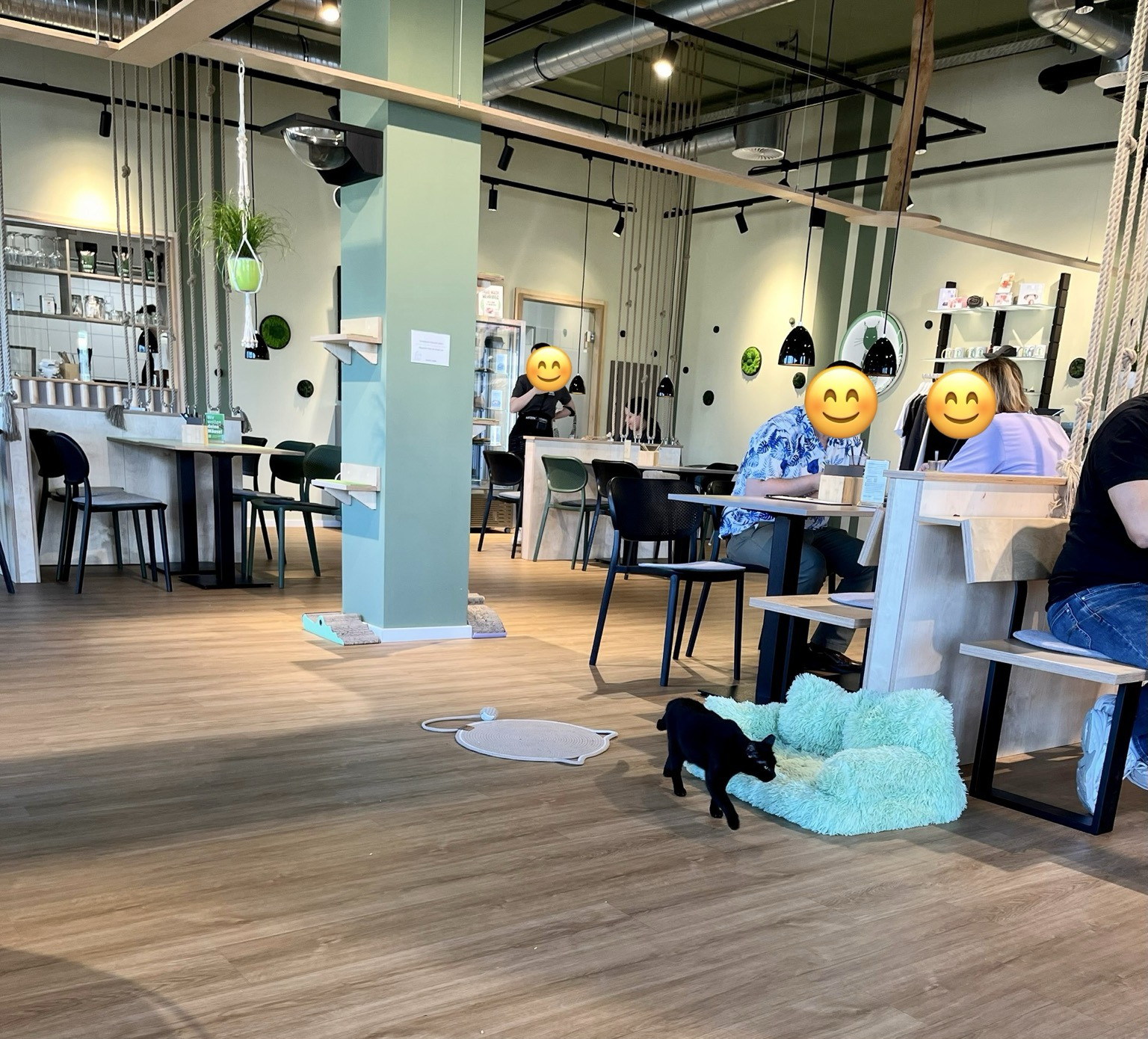 Blick in ein offenes gut beleuchtetes Restaurant. Eine schwarze Katze sucht sich einen Platz. Oben gibt es Stege auf denen die Katzen laufen können. 