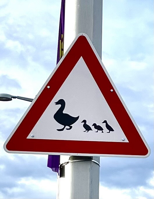Ein Vorsicht Schild darin ein Schwan oder eine Gans voran und drei kleinere Vögel oder Küken dahinter. 