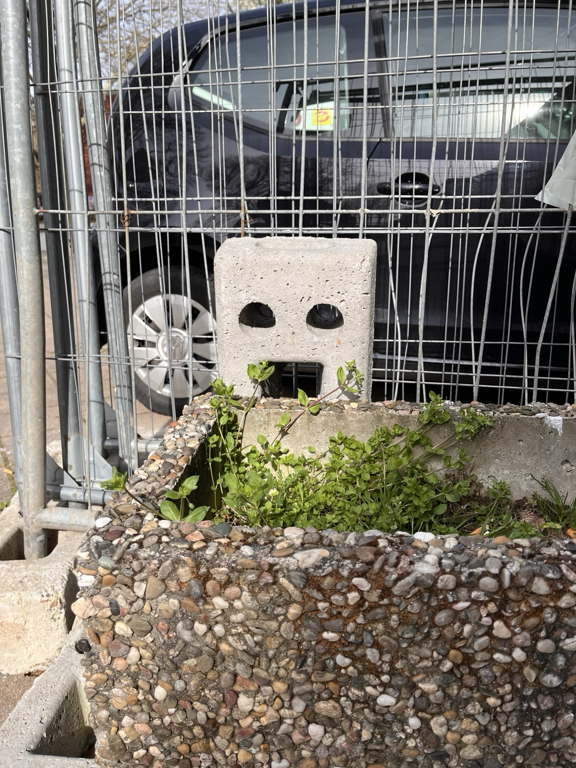 Ein Betonbaustein einer Zaunbegrenzung steht hochkant. Er lacht uns vermeintlich entgegen. 