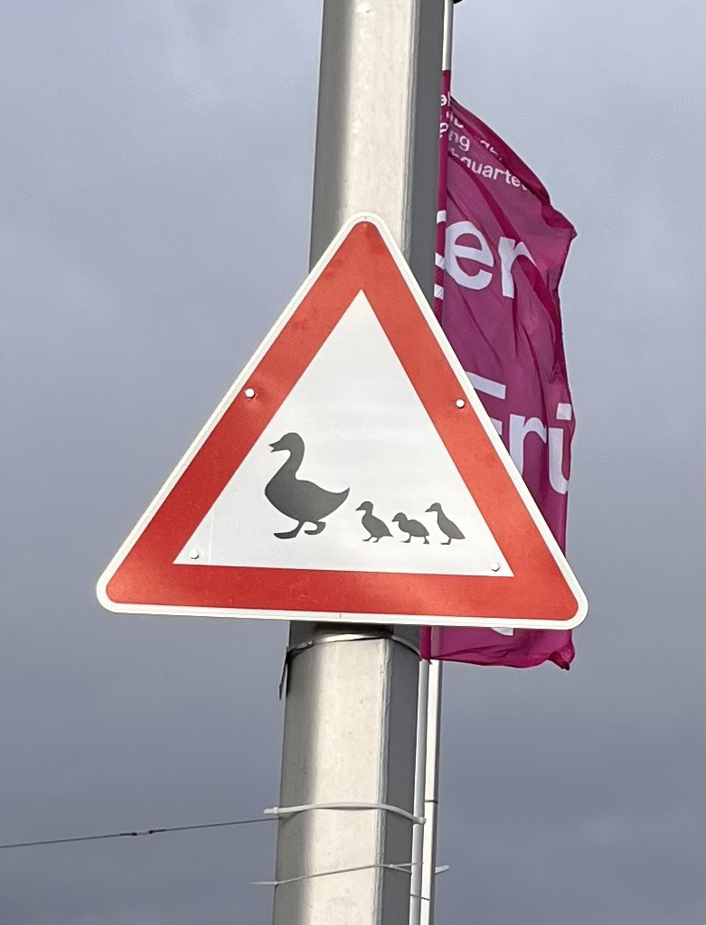 Ein Vorsicht Verkehrszeichen. In dessen Zentrum eine große Ente und dahinter drei kleine Enten. 