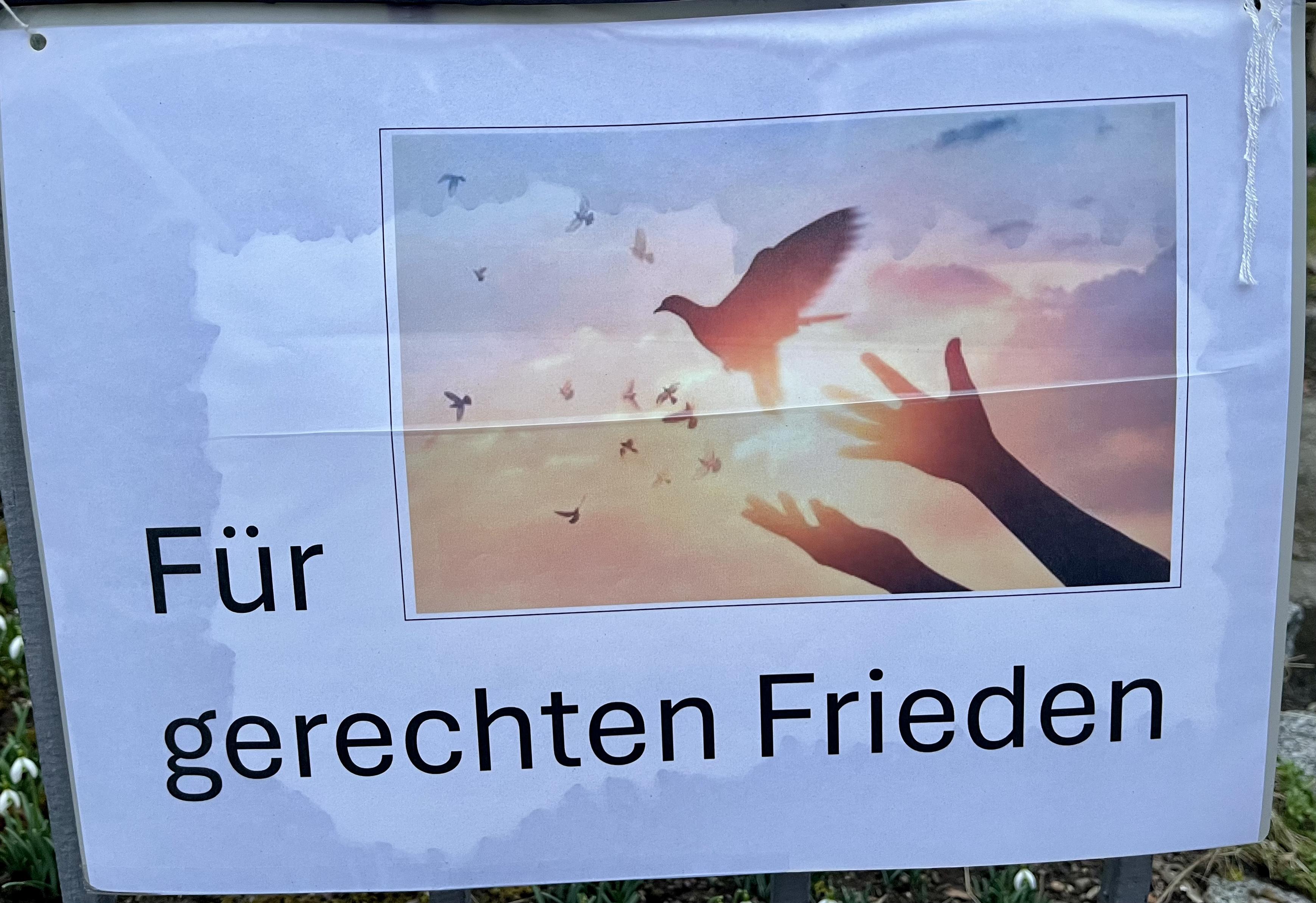Plakat mit der Aufschrift "Für gerechten Frieden", ein Schmuckbild verdeutlicht diesen Text.
