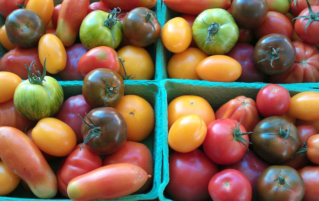 vier Behälter mit Tomaten unterschiedlicher Sorten und Farben.